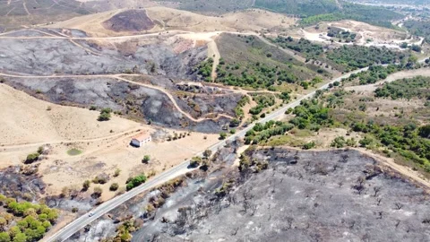 Aerial view of burned forest next to the road. Climate change, ecology and land. Stock Footage 182331041
