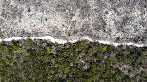 Aerial view of a burned out, dead area affected by bushfires in Australia Stock Footage 123942910