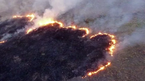 AERIAL VIEW. Burning Dry Grass In The Field Of Steppe Zone Stock-Footage 56095037