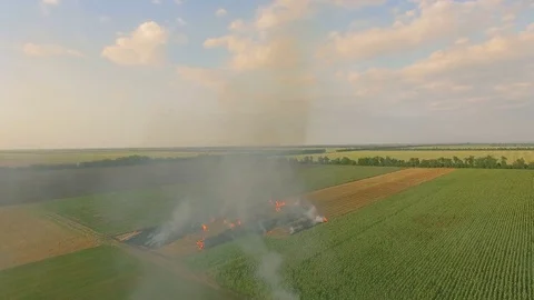 Aerial view of a burning field, outside a city, the air is filled with smoke Stock Footage 78043963