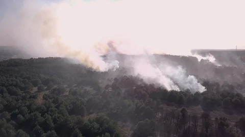 Aerial view of a burning forest. Stock Footage 106537874