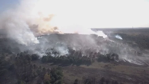 Aerial view of a burning forest. Stock Footage