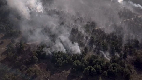 Aerial view of a burning forest. Stock Footage 106537946