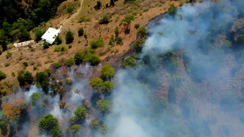 Aerial view of Burning Forest Stock Footage 152907527