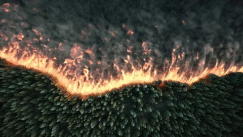Aerial view of burning forest. Forest on fire top view Stock Footage 209327213