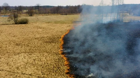 Aerial view of burning grass Stock Footage 106111248