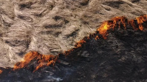 Aerial view of the burning texture dry grass with smoke. Disaster in the forest Stock Footage 105008431