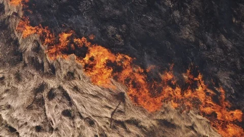 Aerial view of the burning texture dry grass with smoke. Disaster in the forest Stock Footage 105008557