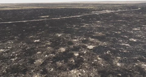 Aerial view of a burnt landscape Stockbeeldmateriaal 335797649