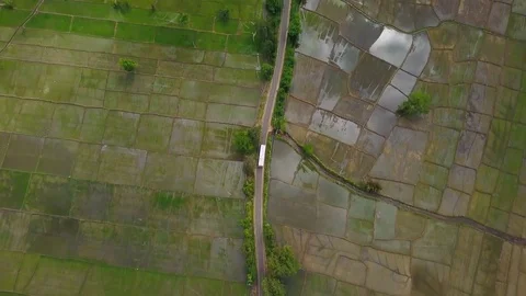Aerial view of bus that rides along the road located in rice field drone footage Stock Footage 85368382