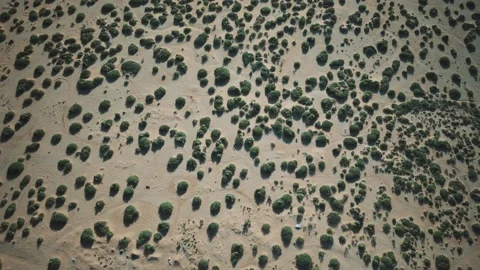Aerial view of bush desert Stock Footage 140681214