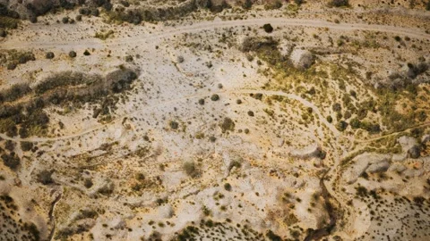 Aerial view of bush desert Vídeos de archivo 141421083