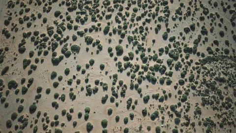 Aerial view of bush desert Stock Footage 142063904