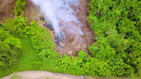 An aerial view of Bush Forest fire Stock Footage 158468359