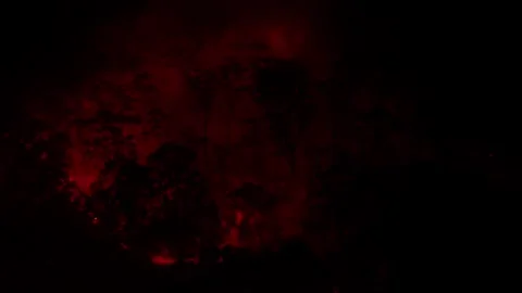 Aerial View of a Bushfire at night. Tree Silhouettes in Fire 库存影片 261042015