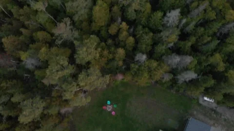 Aerial view of a cabin in the forest Stock Footage 143211732