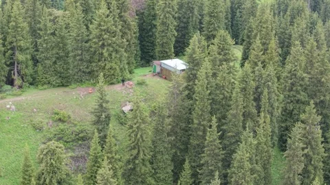 Aerial view of cabin surrounded by dense evergreen forest in mountainous region Video stock 342312281