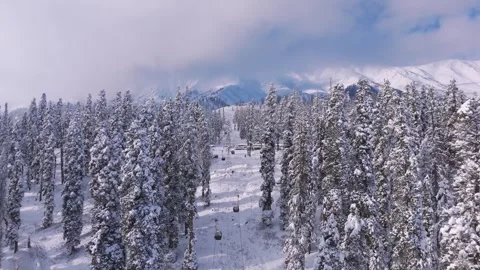 Aerial view of cable car in Gulmarg surrounded by frosted pine trees. Stock Footage 311945919