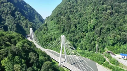Aerial view of cable stayed bridge and a new highway from Sochi to Krasnaya Vidéo 146437175