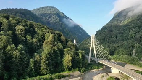 Aerial view of cable-stayed bridge and a new highway from Sochi to Krasnaya Vidéo 146437207