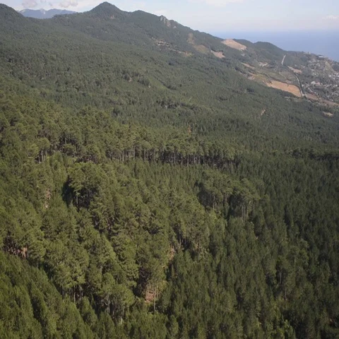 Aerial View from Cableway 2 Stock Footage 69510174