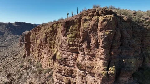 Aerial view of cacti in desert landscape, United States. Stock Footage 321472012
