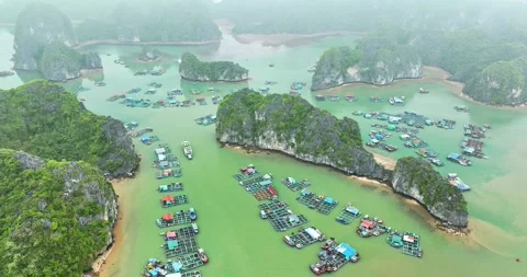 Aerial view of Cai Beo floating village in Lan Ha Bay, Vietnam. Stock Footage 296857975