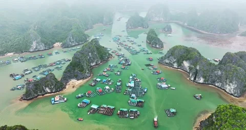 Aerial view of Cai Beo floating village in Lan Ha Bay, Vietnam. Stock Footage 296858458