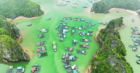 Aerial view of Cai Beo floating village in Lan Ha Bay, Vietnam. Stock Footage 296858697