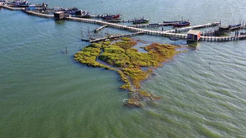 Aerial view of Cais Palafítico da Carrasqueira, Comporta, Alcacer, Portugal Stock Footage 139972941