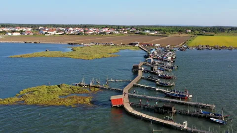 Aerial view of Cais Palafítico da Carrasqueira, Comporta, Alcacer, Portugal Stock Footage 139973075