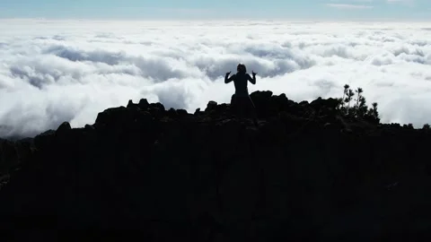 Aerial view of the Caldera de Taburiente in la Palma - Canary Islands Stock Footage 246360145