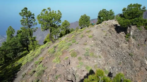 Aerial view of the Caldera de Taburiente in la Palma - Canary Islands Stock Footage 246362007