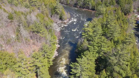 Aerial View of Calm Forest River in Spring – 4K Nature Footage Stock Footage 307462832