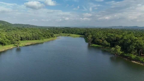 Aerial View of Calm Lake Bordered by Dense Green Forest 스톡 동영상 343475949