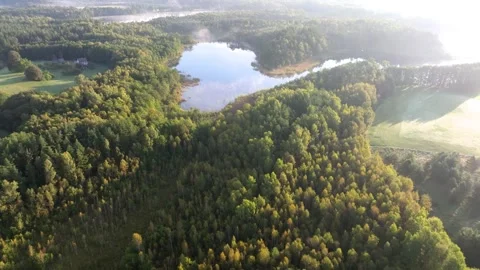 Aerial view of a calm lake surrounded by dense autumn forest at sunrise Stock Footage 345589350