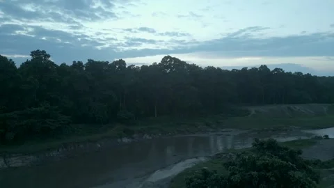 Aerial view of calm river and sandy bank next to dense forest at dusk, dron.. Vídeos de archivo 344953561