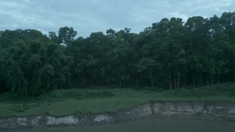Aerial view of calm river and dense green forest at twilight under cloudy s.. Video stock 344953667