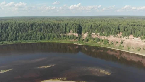 Aerial view of calm river bordered by dense forest Stock Footage 335965669