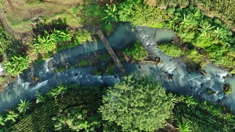 Aerial View of Calm River with Bridge and Greenery Stock Footage 309915983