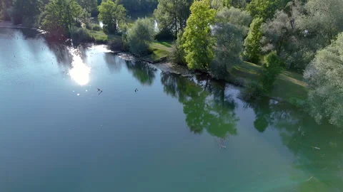 Aerial View of Calm River with Reflecting Trees and Sunlight Stock Footage 295205729