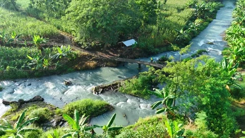 Aerial View of Calm River Scene with Bridge and Green Vegetation Stock Footage 309913951