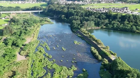 Aerial view of calm river winding through lush greenery Stock Footage 340887628