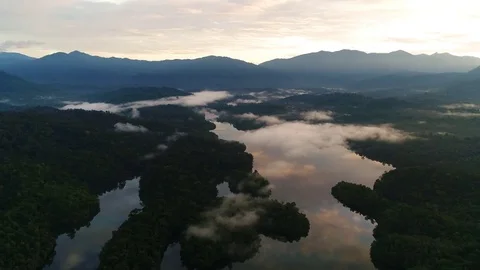 Aerial view. A calm view of lake in the morning. Vídeos de archivo 83545698