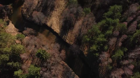 Aerial view of a calmly flowing curving river Stock Footage 152340407