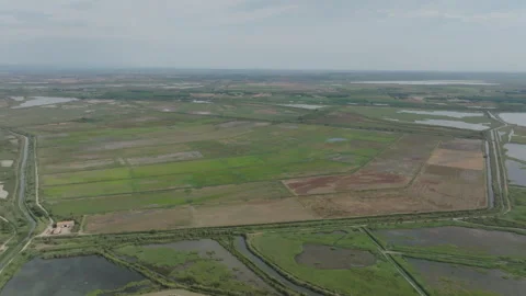 Aerial view of Camargue with patchwork of green agricultural fields canals ponds 動画素材 337978855