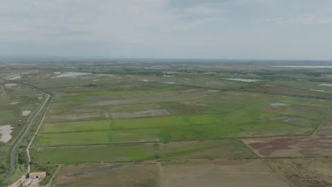 Aerial view of Camargue with patchwork of green agricultural fields canals ponds Stock-Footage 337979150