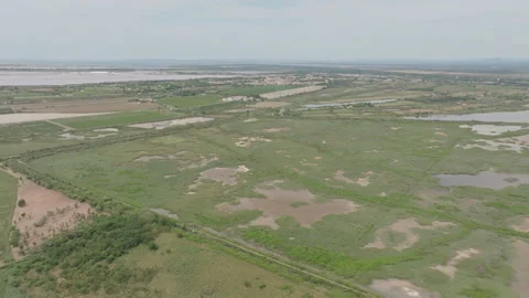 Aerial view of Camargue wetland with patchwork of green marshes brown ponds 動画素材 337981623