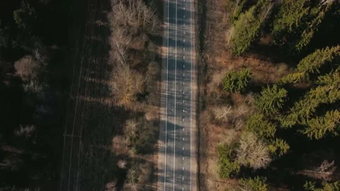 Aerial view with camera down of a straight asphalt road with markings Stock Footage 153521433