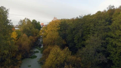 Aerial view. Camera flying above reed field and river. Helsinki Finland Video stock 105675428
